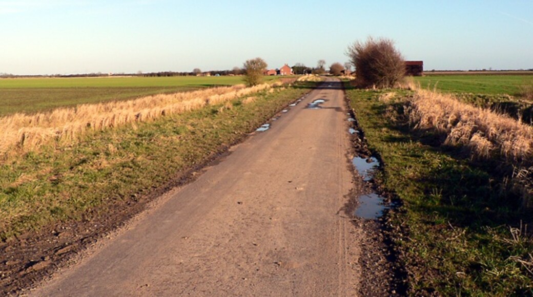 Kuva ”Stickney” käyttäjältä Ian Carrington (CC BY-SA) / rajattu alkuperäisestä kuvasta