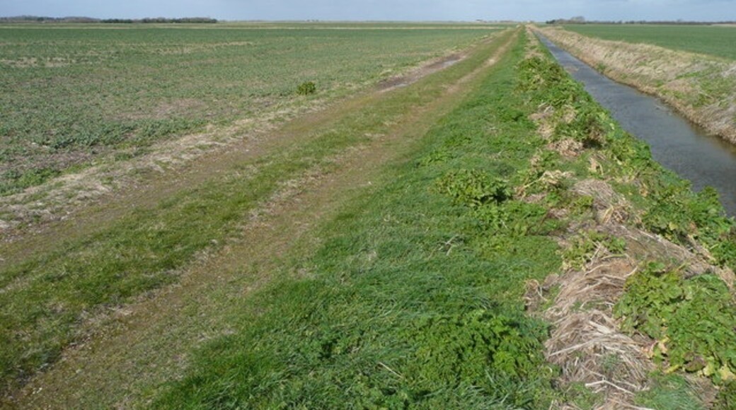 Kuva ”Amber Hill” käyttäjältä Jonathan Billinger (CC BY-SA) / rajattu alkuperäisestä kuvasta