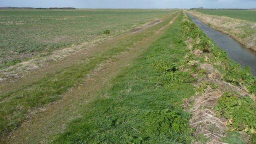 Kuva ”Amber Hill” käyttäjältä Jonathan Billinger (CC BY-SA) / rajattu alkuperäisestä kuvasta