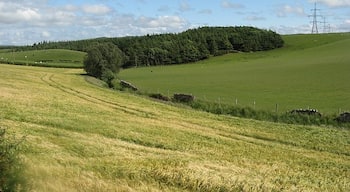 Bilsdean Burn Barley field beside the Bilsdean Burn.