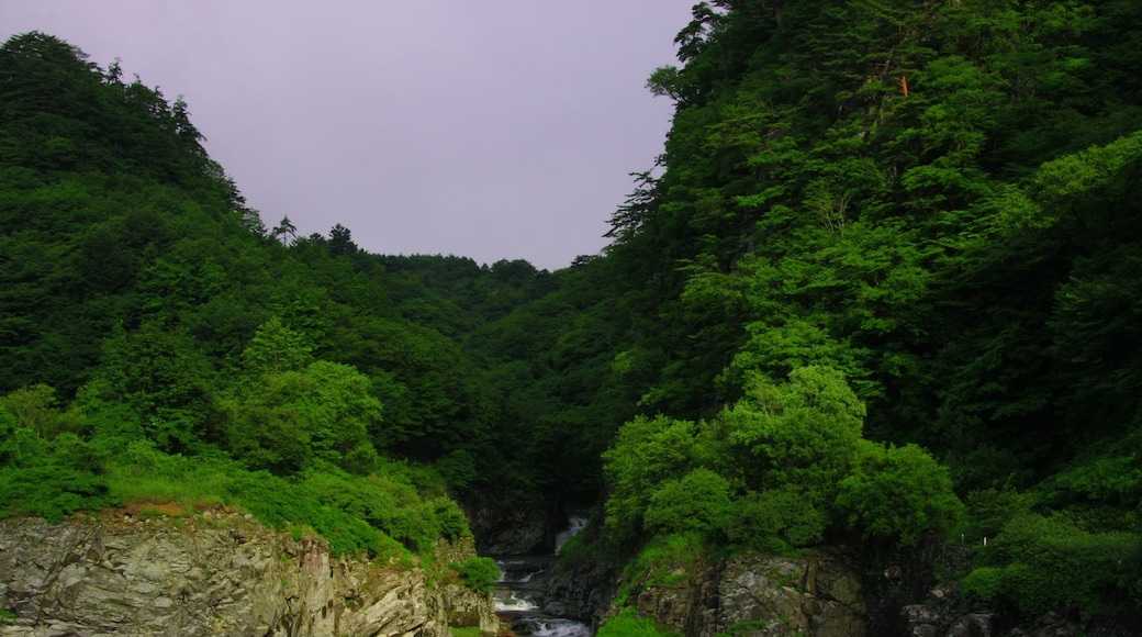 照片“汤西川温泉” 拍摄者：taro gen（CC BY）原片经过裁剪