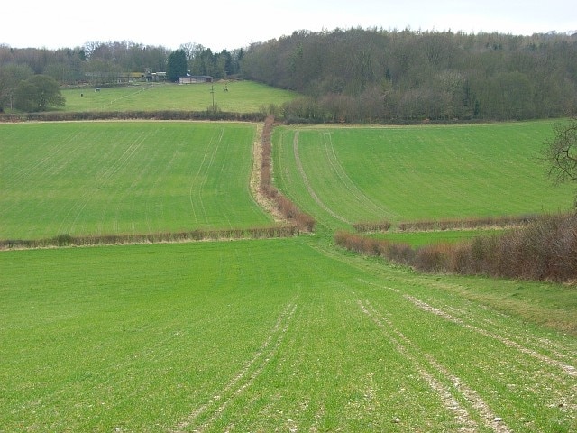Billede "Great and Little Hampden" af Andrew Smith (CC BY-SA) / beskåret fra det originale billede
