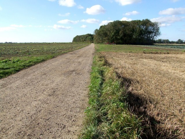 Kuva ”Wainfleet St Mary” käyttäjältä Dave Hitchborne (CC BY-SA) / rajattu alkuperäisestä kuvasta