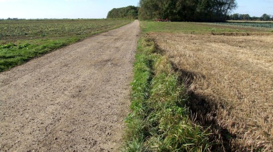 Kuva ”Wainfleet St Mary” käyttäjältä Dave Hitchborne (CC BY-SA) / rajattu alkuperäisestä kuvasta