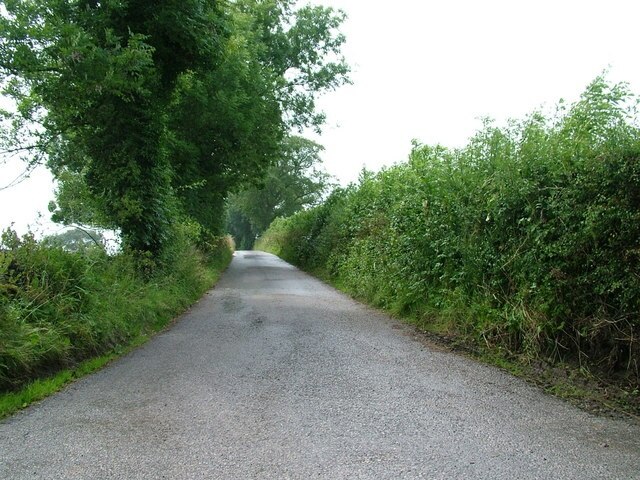 Foto “Newby” tomada por David Brown (CC BY-SA); recorte de la original