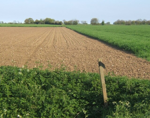 Kuva ”Bacton” käyttäjältä Andrew Hill (CC BY-SA) / rajattu alkuperäisestä kuvasta