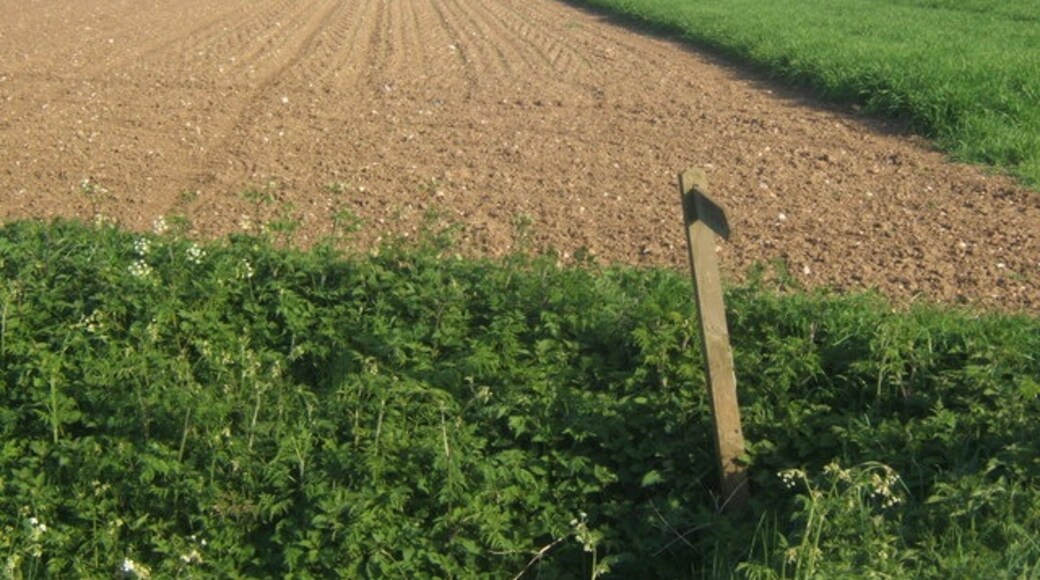 Kuva ”Bacton” käyttäjältä Andrew Hill (CC BY-SA) / rajattu alkuperäisestä kuvasta