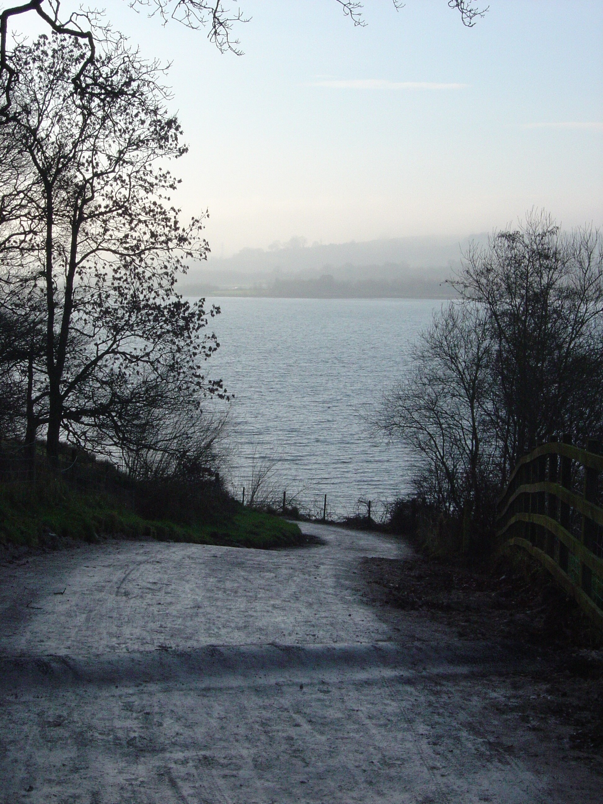 Billede "Callow" af Paul (CC BY) / beskåret fra det originale billede