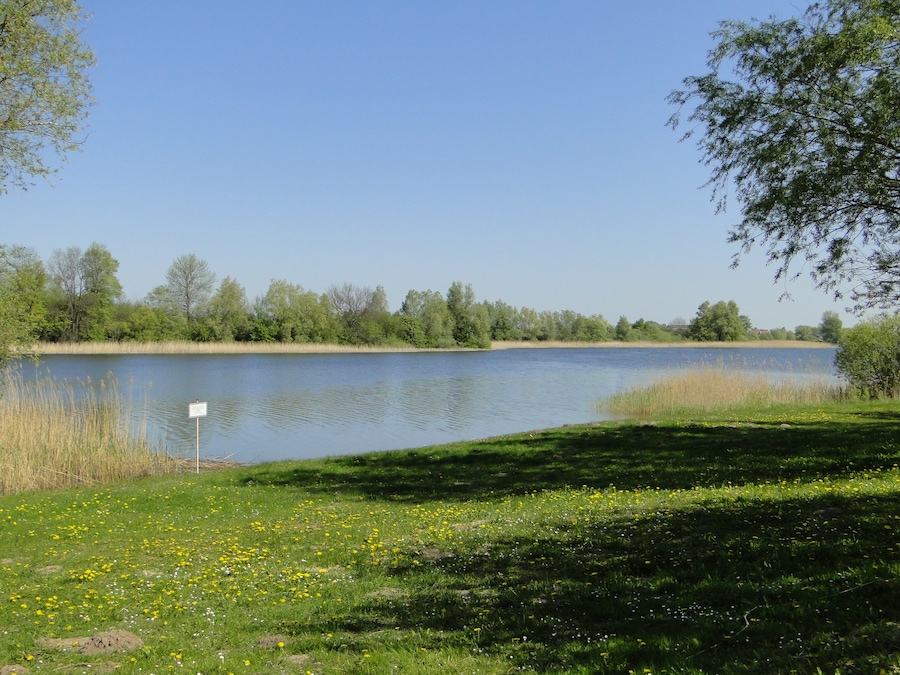 Lake Neetzkaer See in Neetzka, district Mecklenburg-Strelitz, Mecklenburg-Vorpommern, Germany