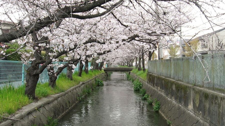 玉串川 (大阪府八尾市)