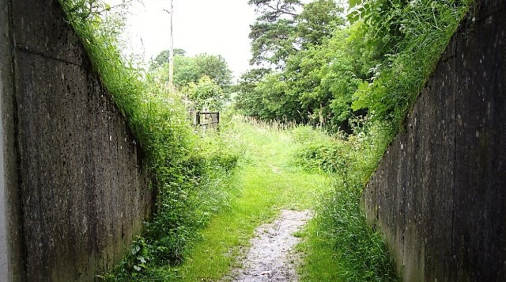 Foto „Preston Patrick“ von Ian Bottomley (CC BY-SA)/zugeschnittenes Original