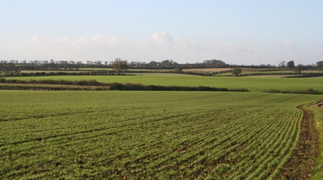 Foto “Wyville cum Hungerton” tomada por Kate Jewell (CC BY-SA); recorte de la original