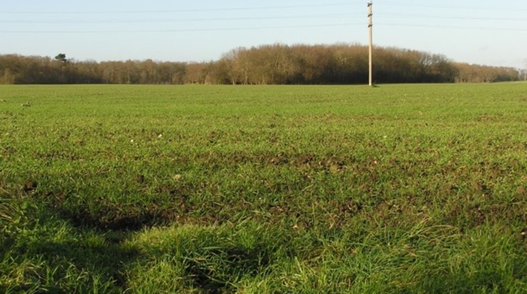 Foto "Hacheston" por Dave King (CC BY-SA) / Recortada de la original