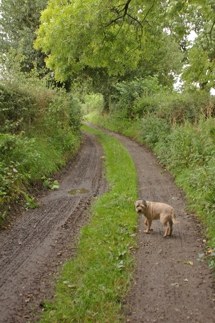 Photo "Simonstone" by Mr T (CC BY-SA) / Cropped from original