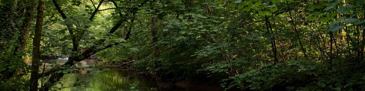 Photo "Brecon Beacons National Park IMG_5036" by Paul Lakin (Creative Commons Attribution 3.0) / Cropped from original