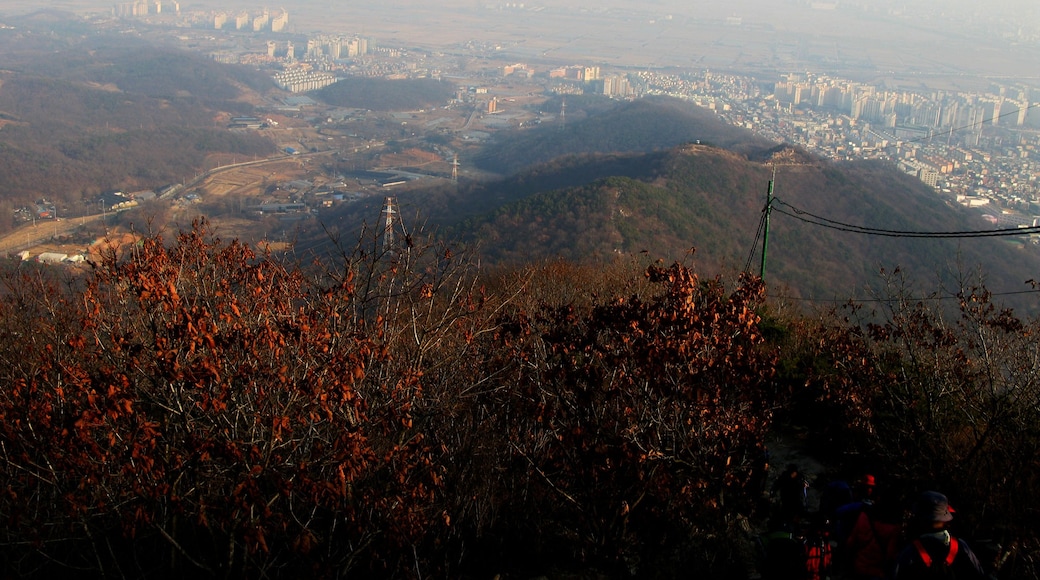 « Bucheon», photo de G43 (CC BY) / rognée de l’originale