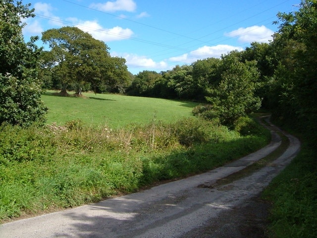 Forder Lane. Easier going than 234013, this stretch of the lane is the driveway from the B3213 to Forder farm, passing a field with oaks.