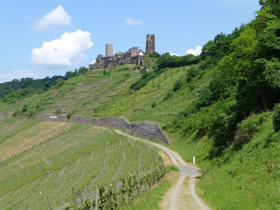 Burg Thurant oberhalb von Alken an der Mosel