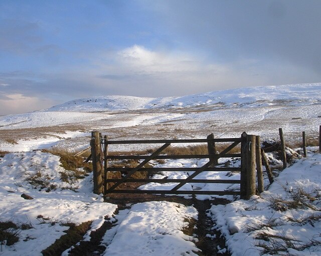 Foto “Hope” tomada por Andy Waddington (CC BY-SA); recorte de la original
