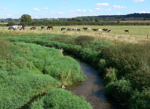 Kuva ”Rockingham” käyttäjältä Mat Fascione (CC BY-SA) / rajattu alkuperäisestä kuvasta