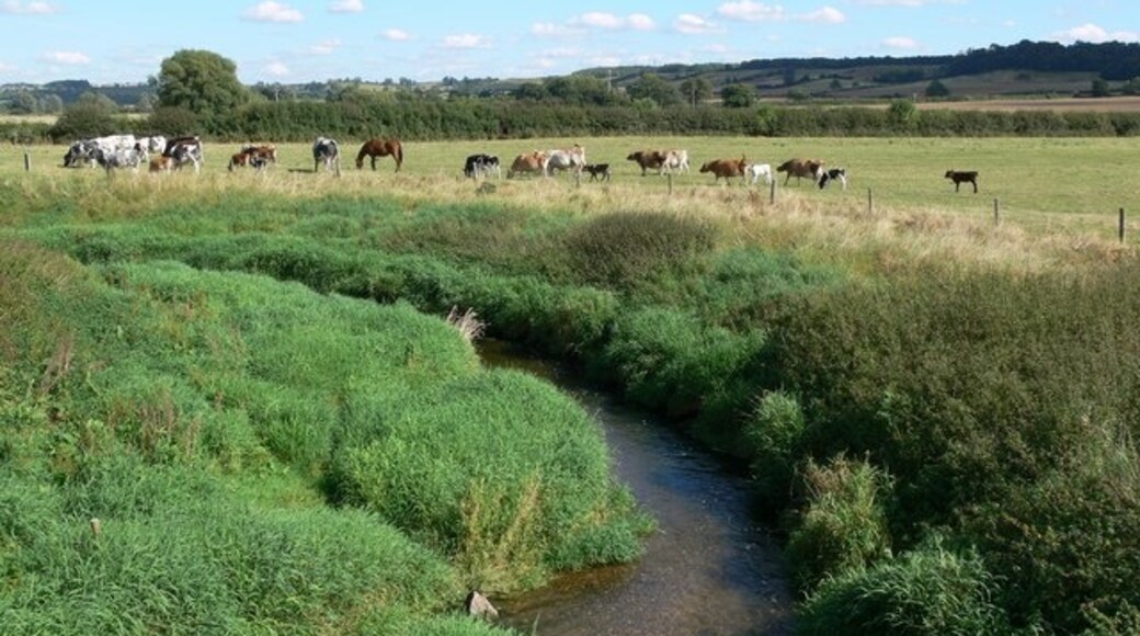 Foto “Rockingham” tomada por Mat Fascione (CC BY-SA); recorte de la original