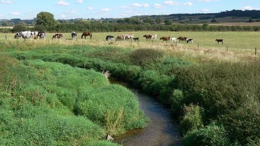 Kuva ”Rockingham” käyttäjältä Mat Fascione (CC BY-SA) / rajattu alkuperäisestä kuvasta