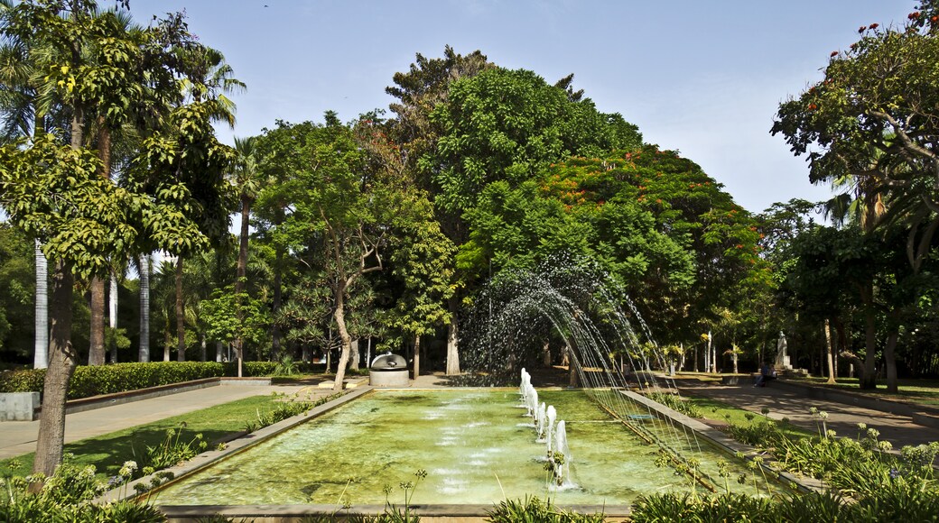 Kuva ”Garcia Sanabria -puisto” käyttäjältä Koppchen (CC BY) / rajattu alkuperäisestä kuvasta
