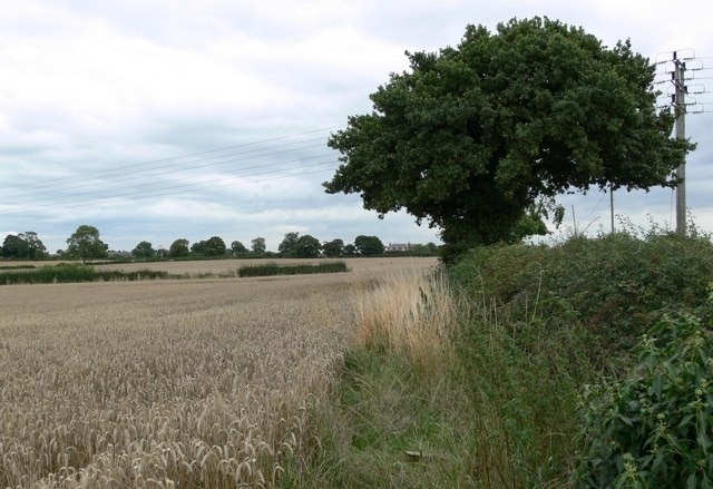 Photo "Barwell" by Mat Fascione (CC BY-SA) / Cropped from original