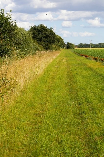 Track beside the former railway The row of trees on the left marks the route of the former railway line. This track parallels it and is a permissive footpath. There are buildings on the other side of the railway, but they're hard to see through the trees.