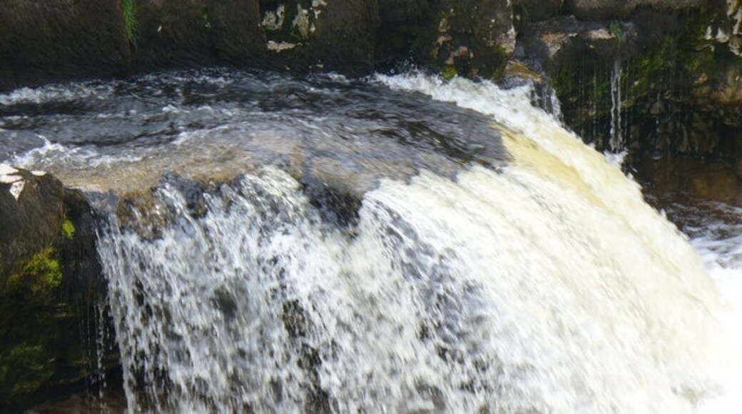 Foto “Linton” tomada por Colin Smith (CC BY-SA); recorte de la original