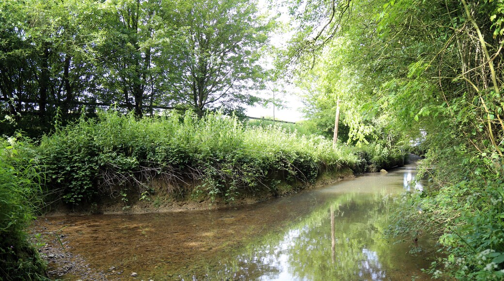 Kuva ”Good Easter” käyttäjältä Acabashi (CC BY-SA) / rajattu alkuperäisestä kuvasta