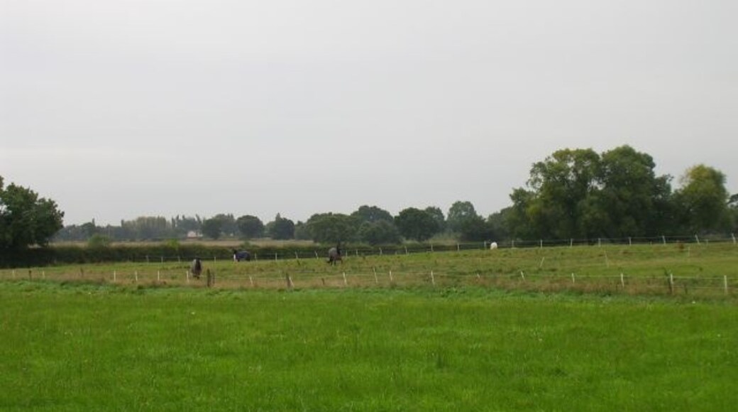 Kuva ”Kenyon” käyttäjältä Keith Williamson (CC BY-SA) / rajattu alkuperäisestä kuvasta