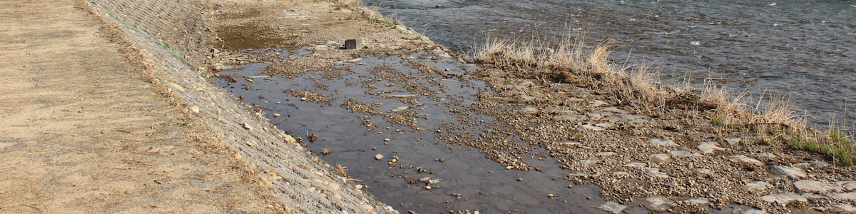 Photo "鳥取県倉吉市丸山付近。下流方向の小鴨橋を望む。" by Triglav (Creative Commons Attribution-Share Alike 3.0) / Cropped from original