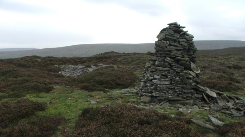 Foto “Newbiggin” tomada por Steve Partridge (CC BY-SA); recorte de la original