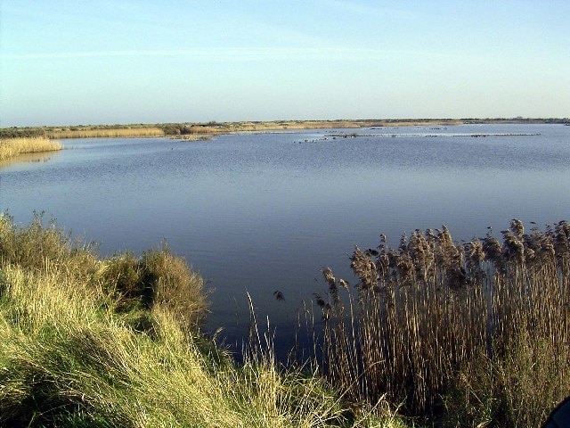 Titchwell RSPB Reserve. The picture is taken from the reserve path which is, at this point, more or less on the N-S grid line and the view is to the NE looking across the first pool of the freshmarsh. The Island hide is just off picture to right and the Parrinder Hide can be seen in the distance.