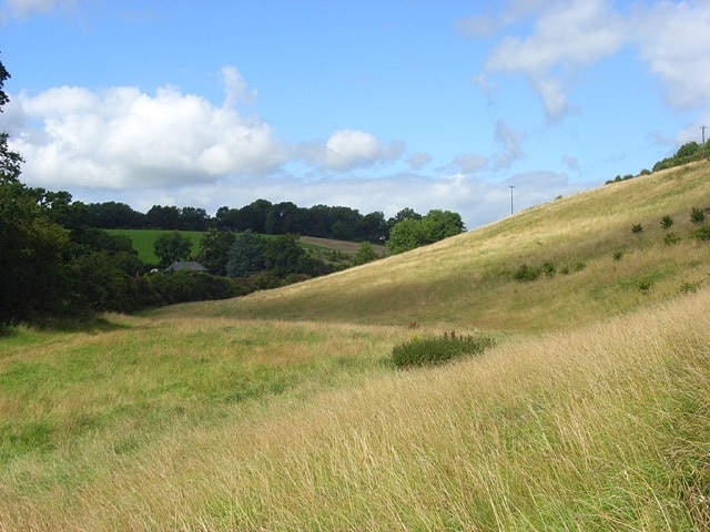 Photo "Lacey Green" by Andrew Smith (CC BY-SA) / Cropped from original