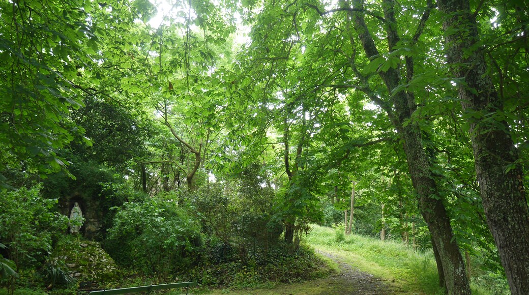 ภาพ "โลเตแลรี-เดอ-เฟล" โดย Simon de l'Ouest (CC BY-SA) / ตัดภาพจากขนาดต้นฉบับ