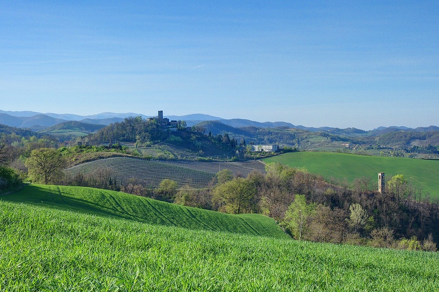 Stefanago, dal Monte Reale