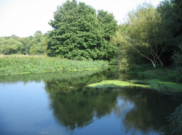 The Cam in summer. Quite a contrast to the scene along the banks in winter, 649025.