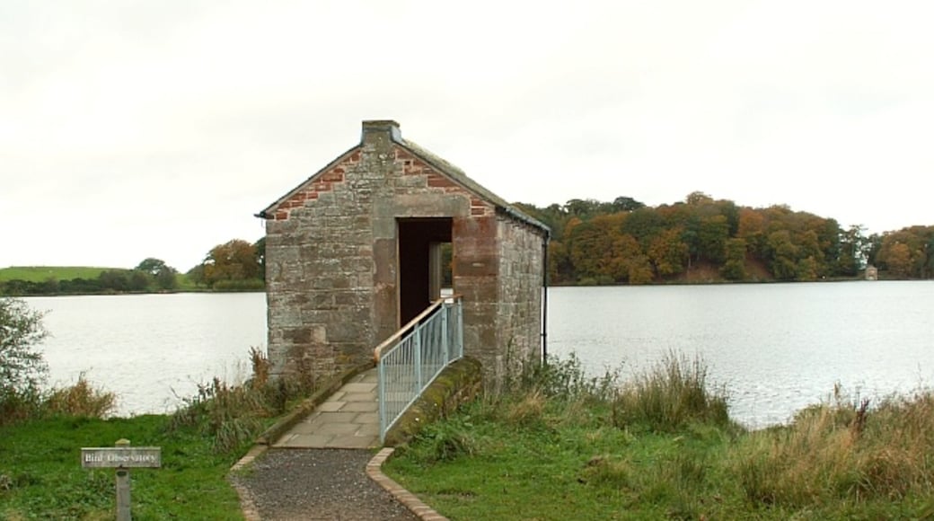 Photo "Talkin Tarn Country Park" by Rose and Trev Clough (CC BY-SA) / Cropped from original