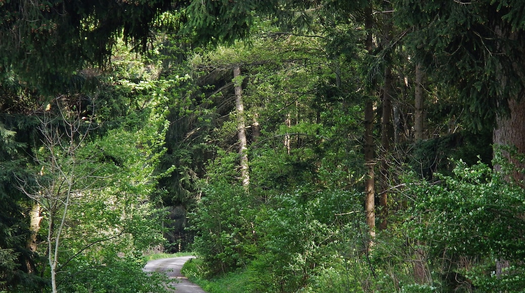Foto "Albstadt" oleh qwesy qwesy (CC BY) / Dipotong dari foto asli