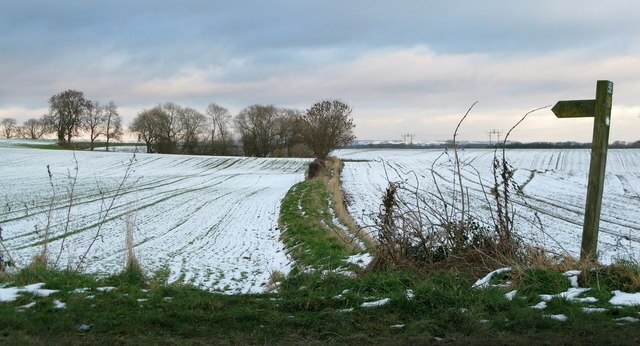 Billede "Milby" af David Rogers (CC BY-SA) / beskåret fra det originale billede