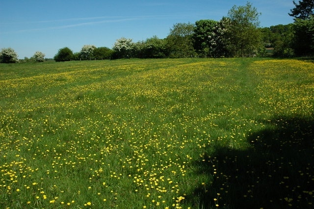 Field near Aston Cantlow