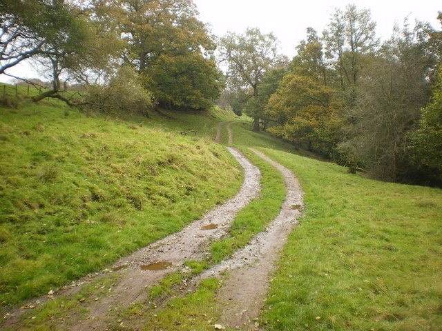 Track off Abbeystead Road near Lower Green Bank