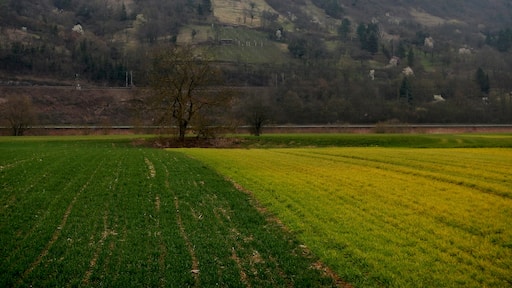 Photo "Diedesheim" by qwesy qwesy (CC BY) / Cropped from original