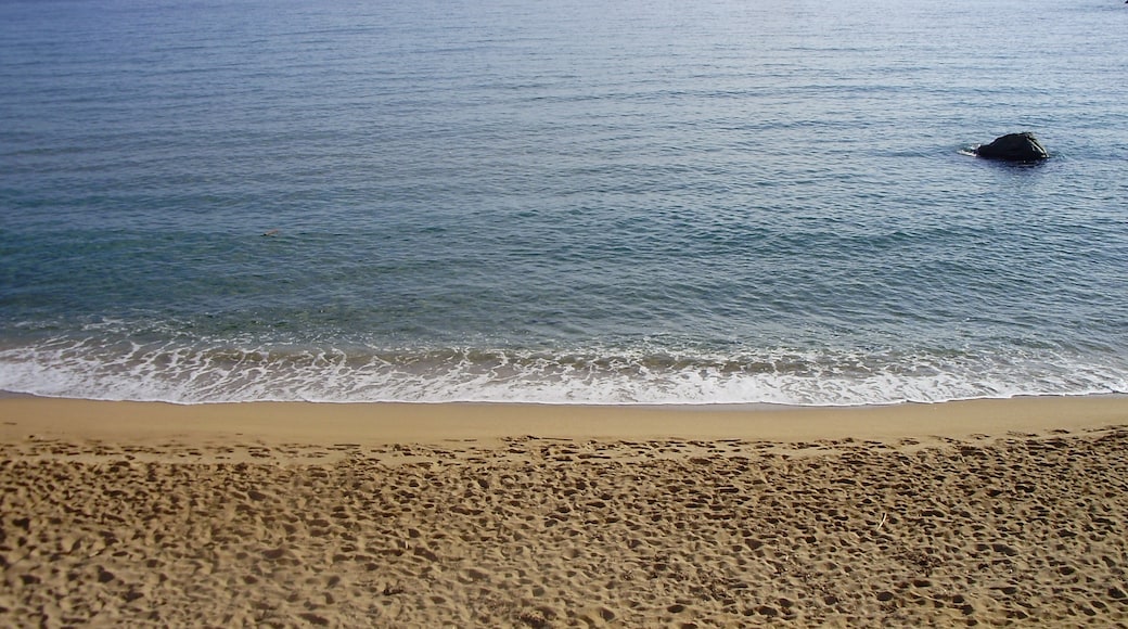 "Playa de La Fosca"-foto av klimmanet (CC BY) / Urklipp från original