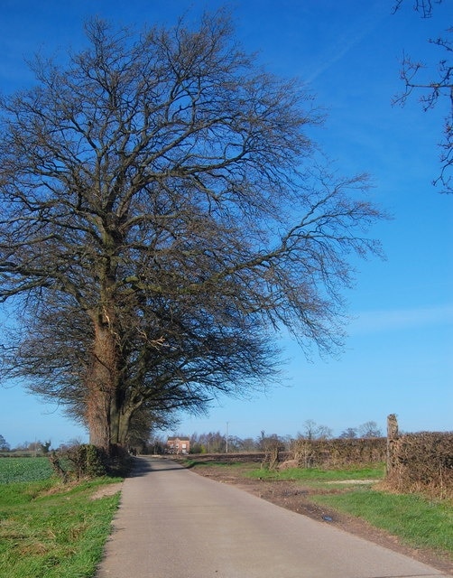 Avenue Leading to Horton Hall The footpath that runs from the lay-by on the A54, runs diagonally across SJ4968 to Horton Hall. This view is of the dead straight footpath looking towards the hall on a beautiful, clear January morning.