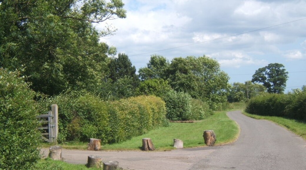 Photo "Dallinghoo" by Andrew Hill (CC BY-SA) / Cropped from original