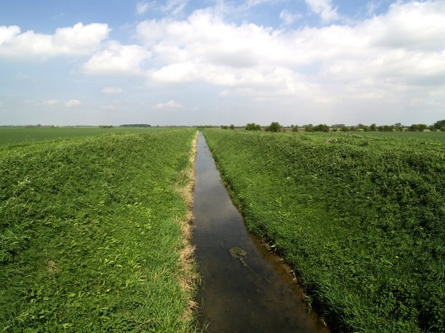 Foto “Riston” tomada por Andy Beecroft (CC BY-SA); recorte de la original