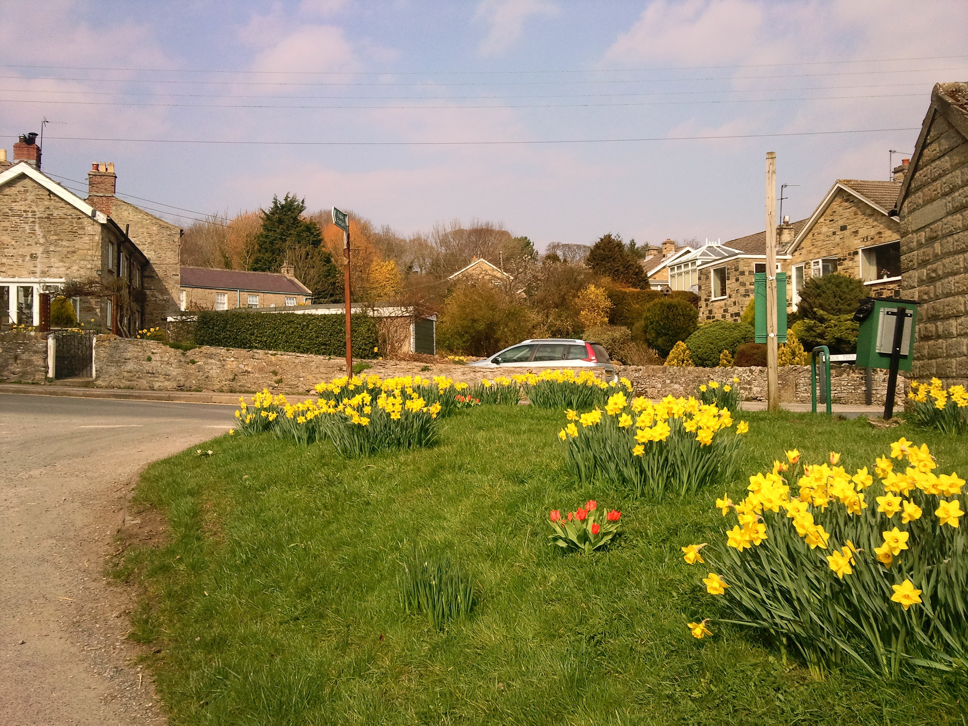 Photo "Harmby" by jim walton (CC BY) / Cropped from original